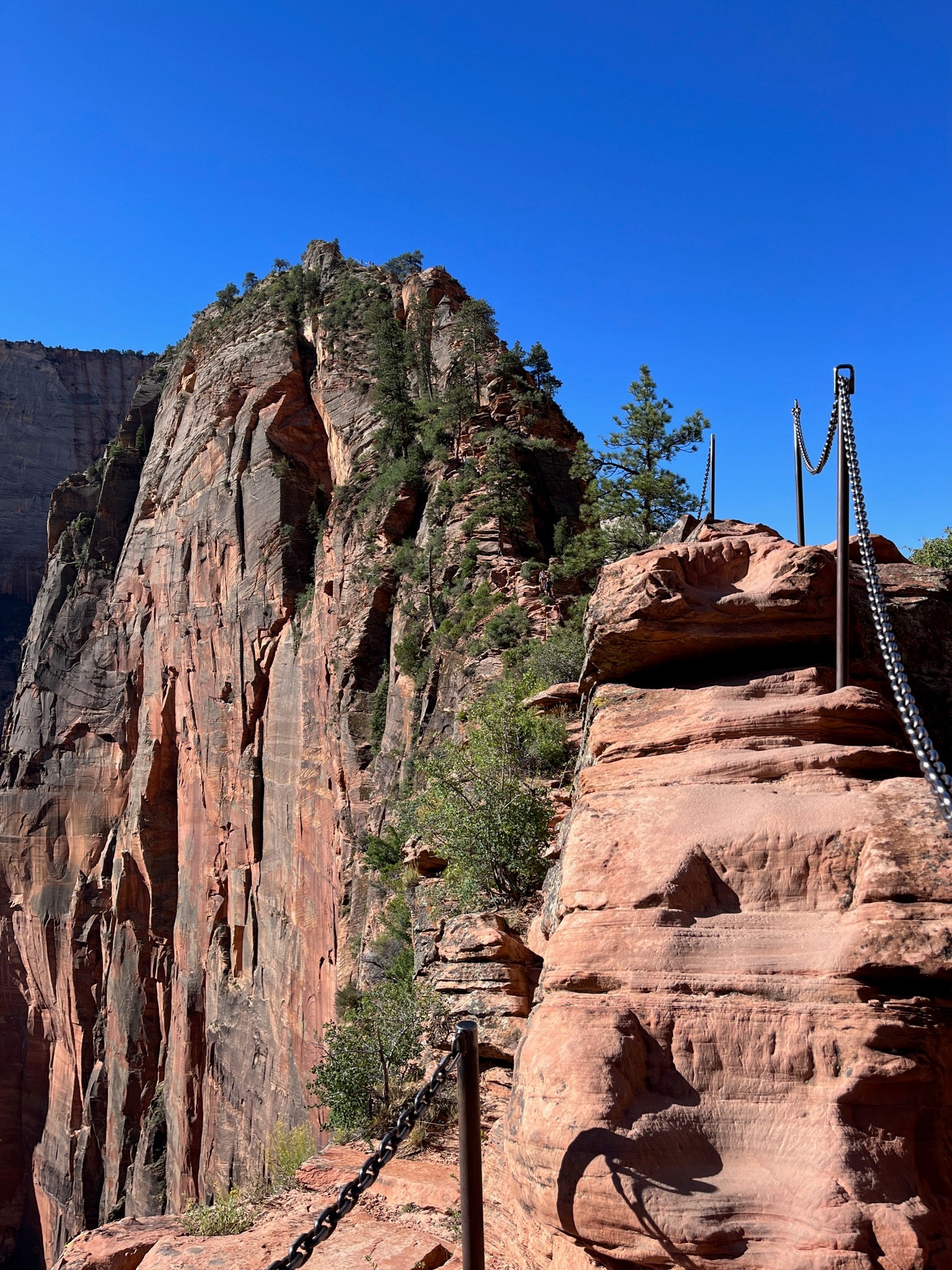 Photo of the Zion National Park's famous hiking trail Angels Landing in chains  along the trail and summit.